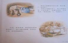 彼得兔电影观后感1500字